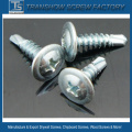 Black Phosphated Truss Head Self Tapping Screw